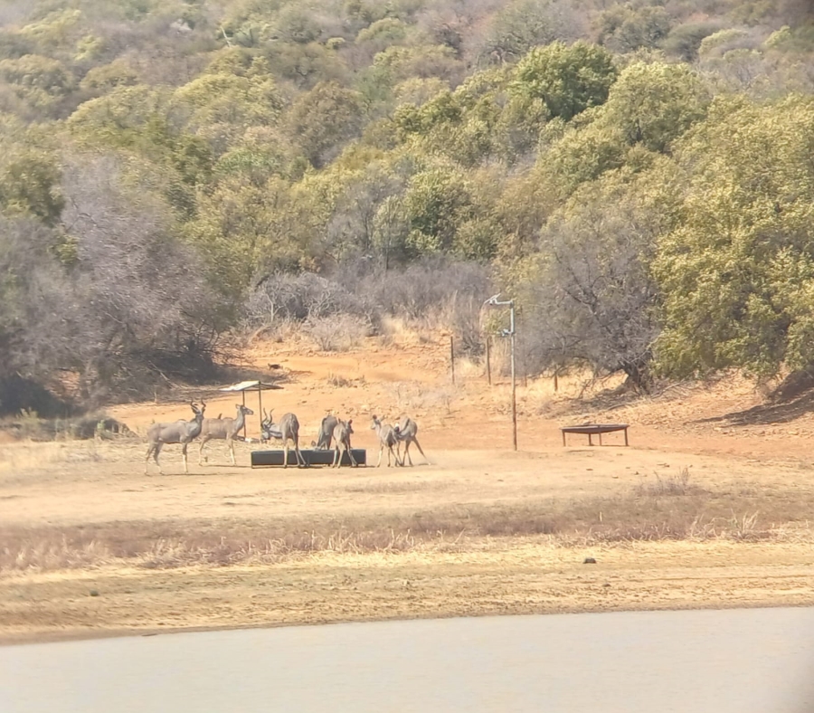 17 Bedroom Property for Sale in Koster North West